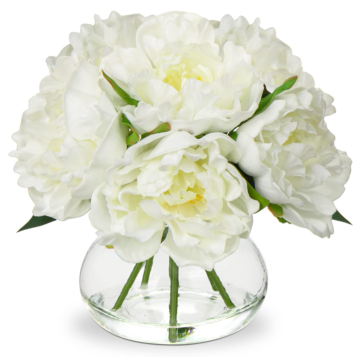 Hollyone white peonies in a glass vase for elegant home decor