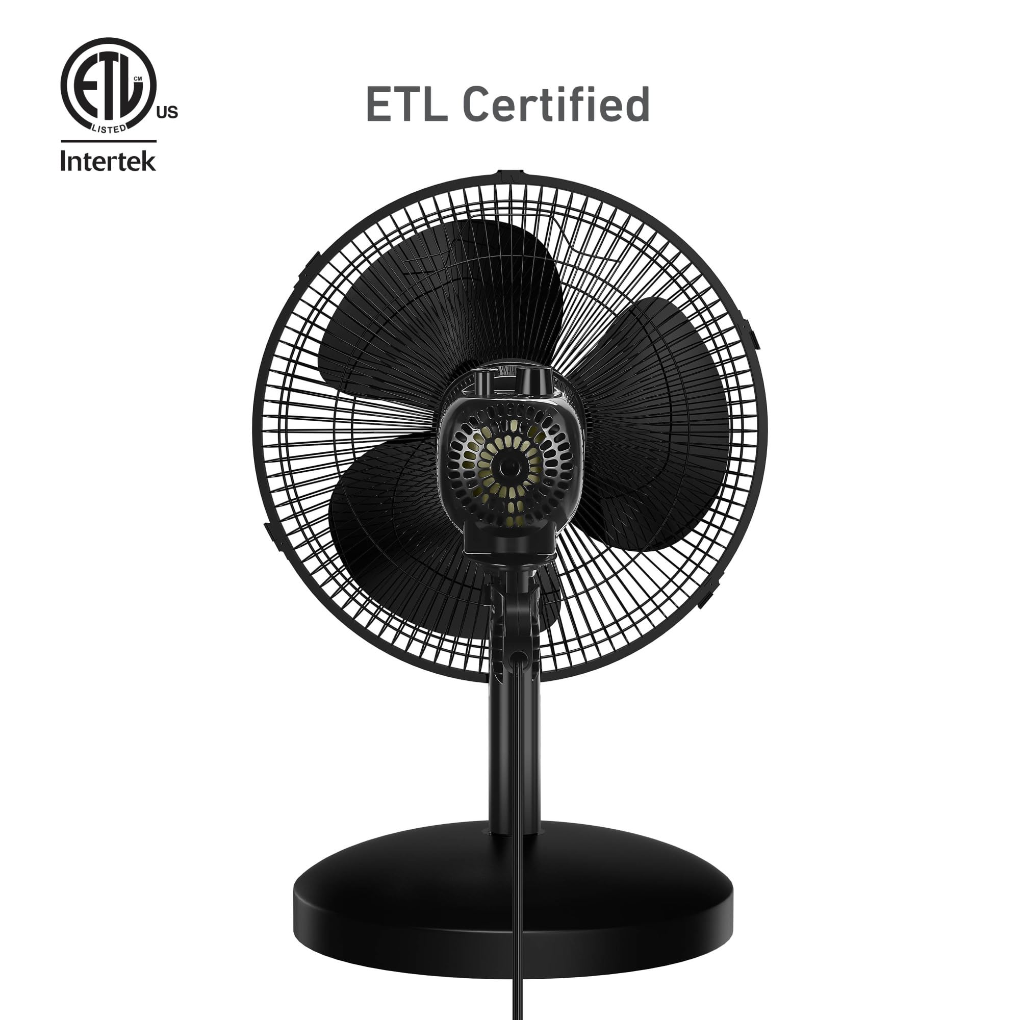 Holmes 12in fan black finish blends with modern decor.