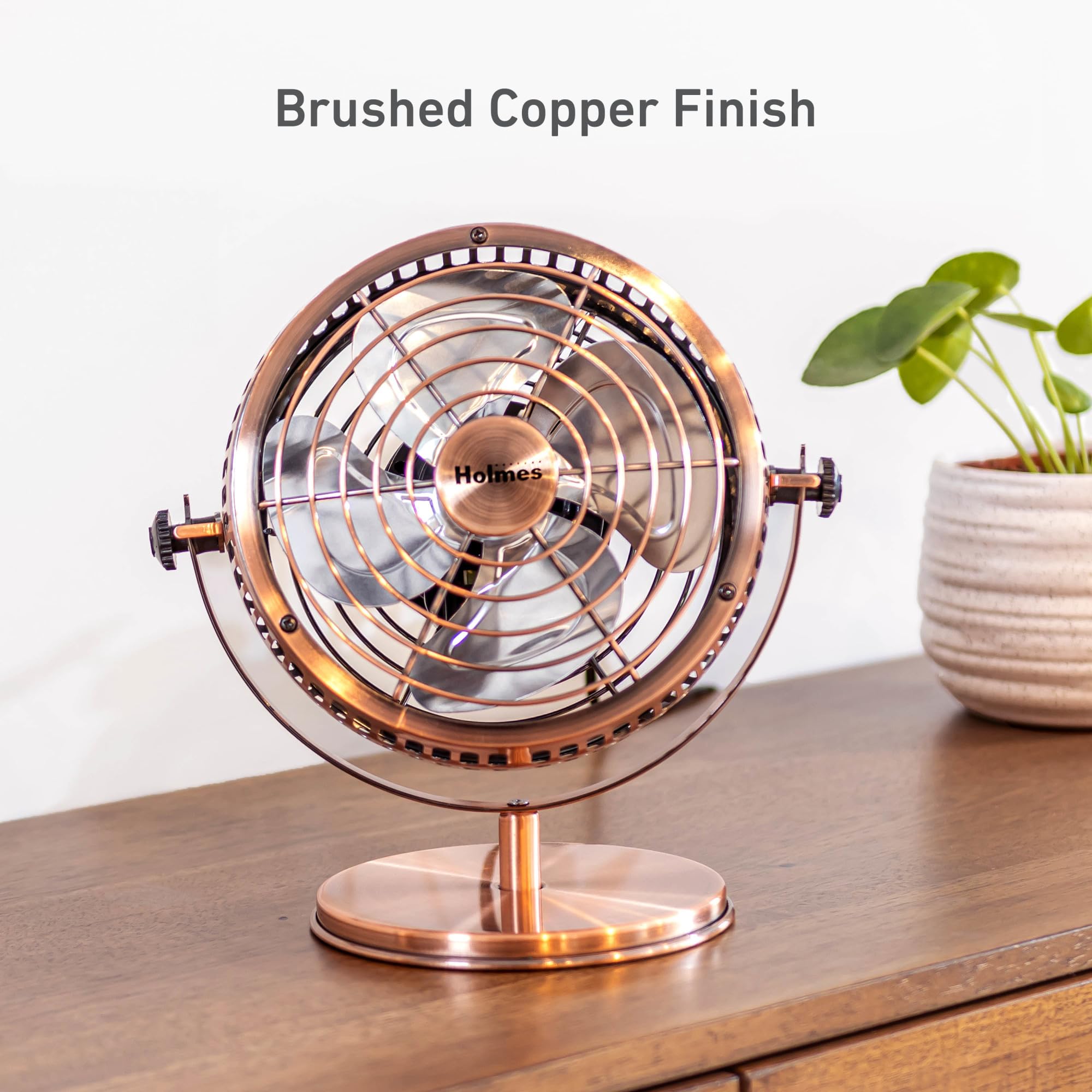 HOLMES brushed copper finish adds a refined touch to desks or shelves
