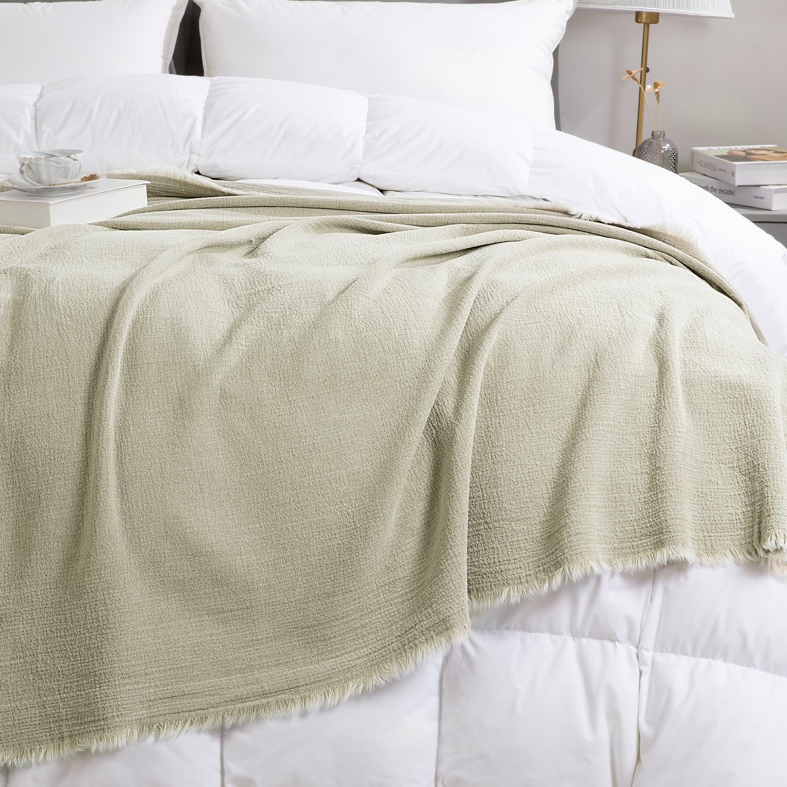 HOMBYS cozy sofa scene demonstrates versatile couches-and-lounging use
