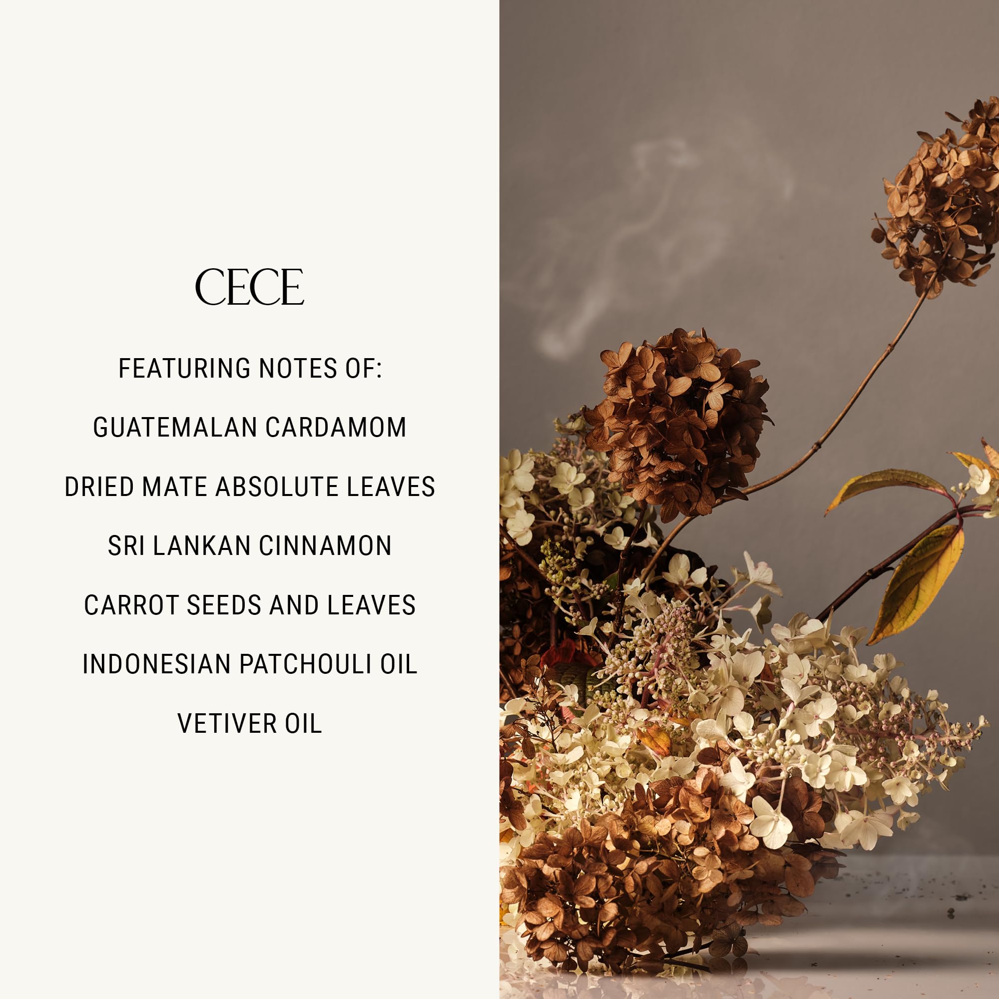 Homecourt Cece candle 8 oz packaging, ideal for gifting.