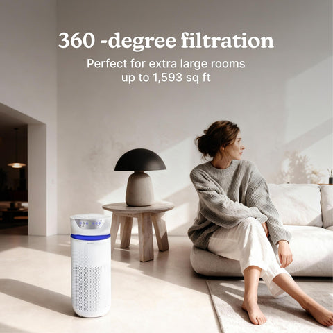 Homedics carbon odor filter reduces smells from cooking and pets.