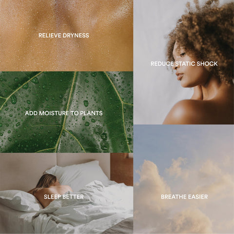 Aromatherapy-capable Homedics humidifier for calming scents in the room