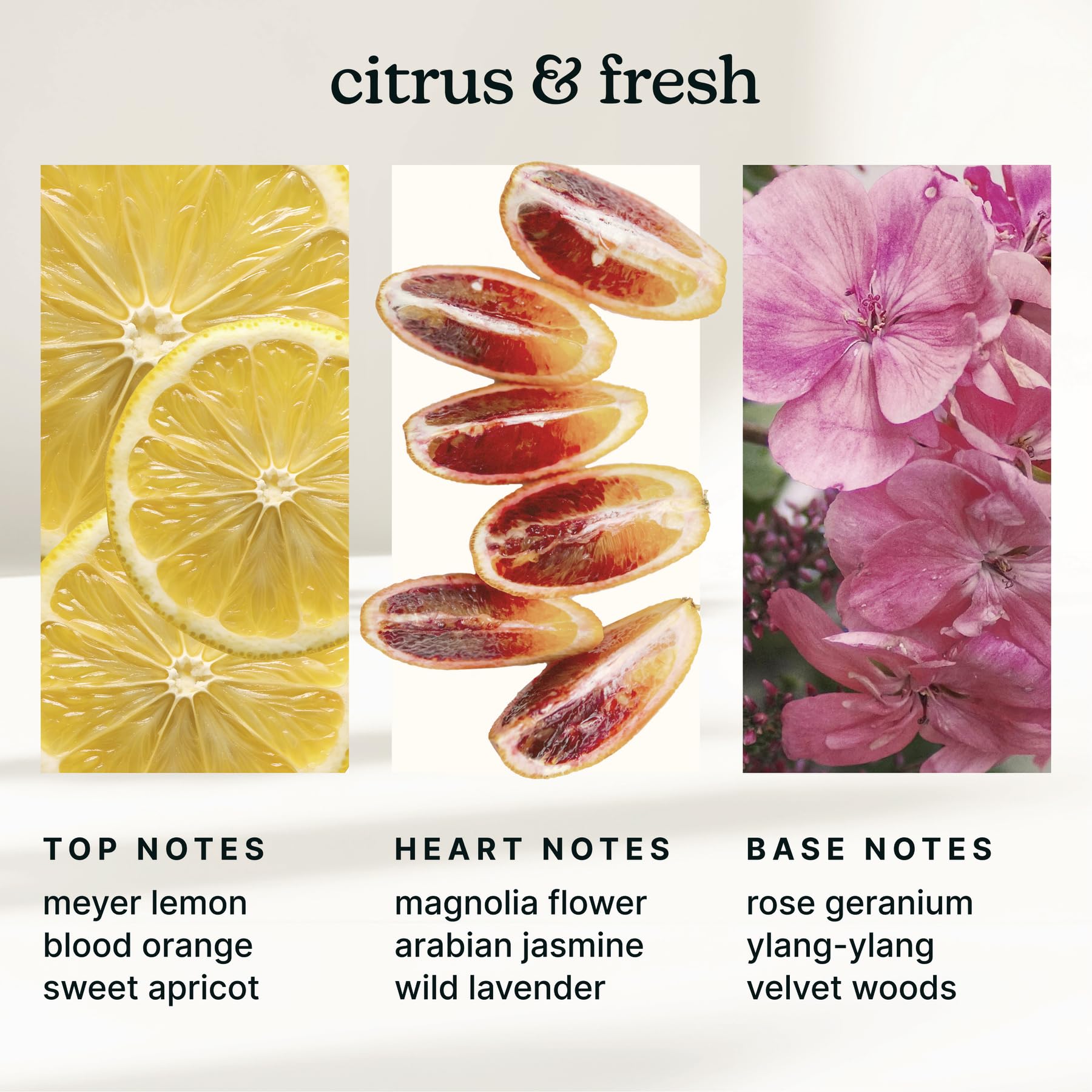 Homedics Amalfi Bliss packaging and label details