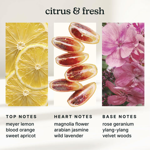 Homedics Amalfi Bliss packaging and label details