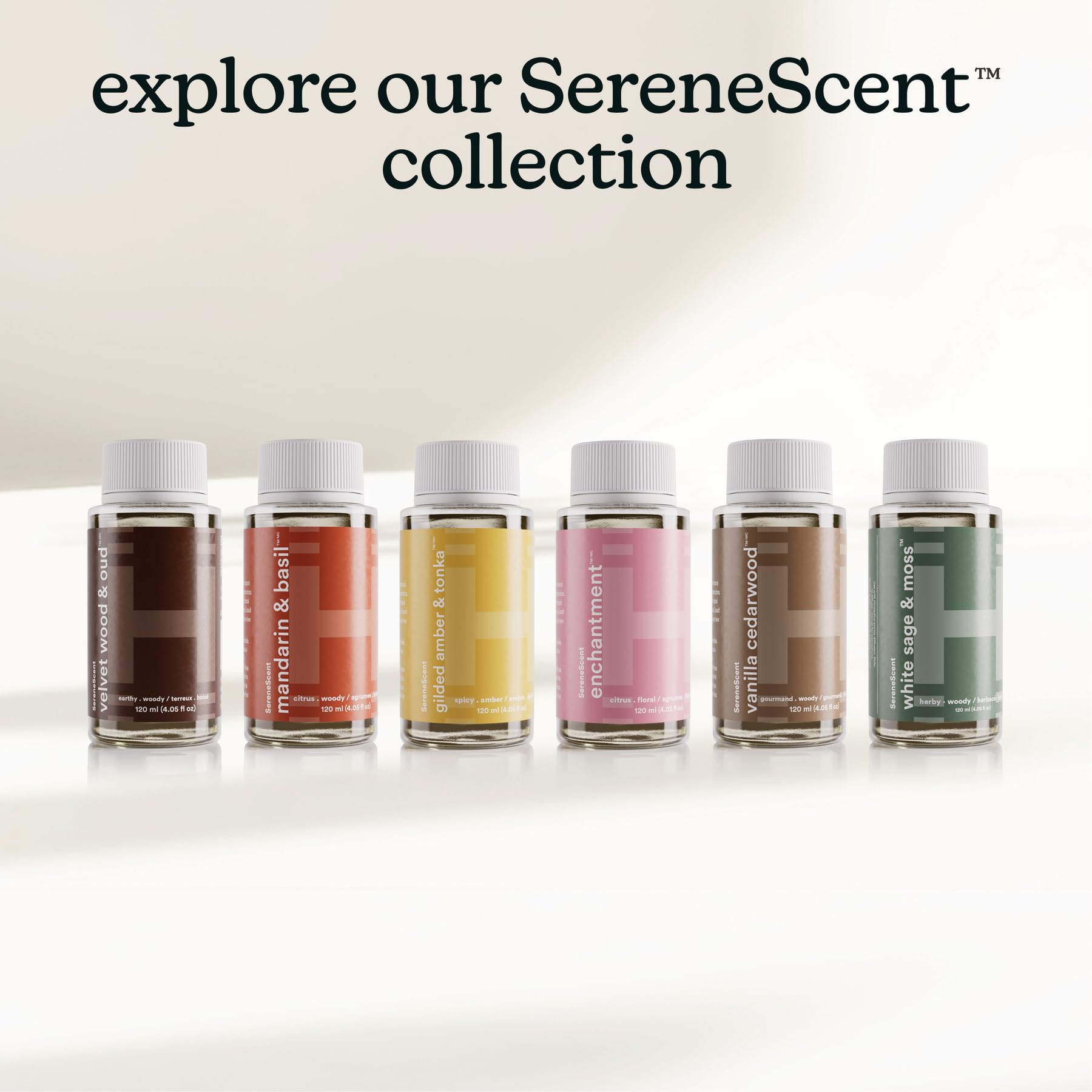 Homedics SereneScent Enchantment sets a romantic, calming date-night mood