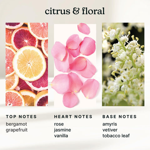 Homedics SereneScent Enchantment refill beside SereneScent diffuser for compatibility