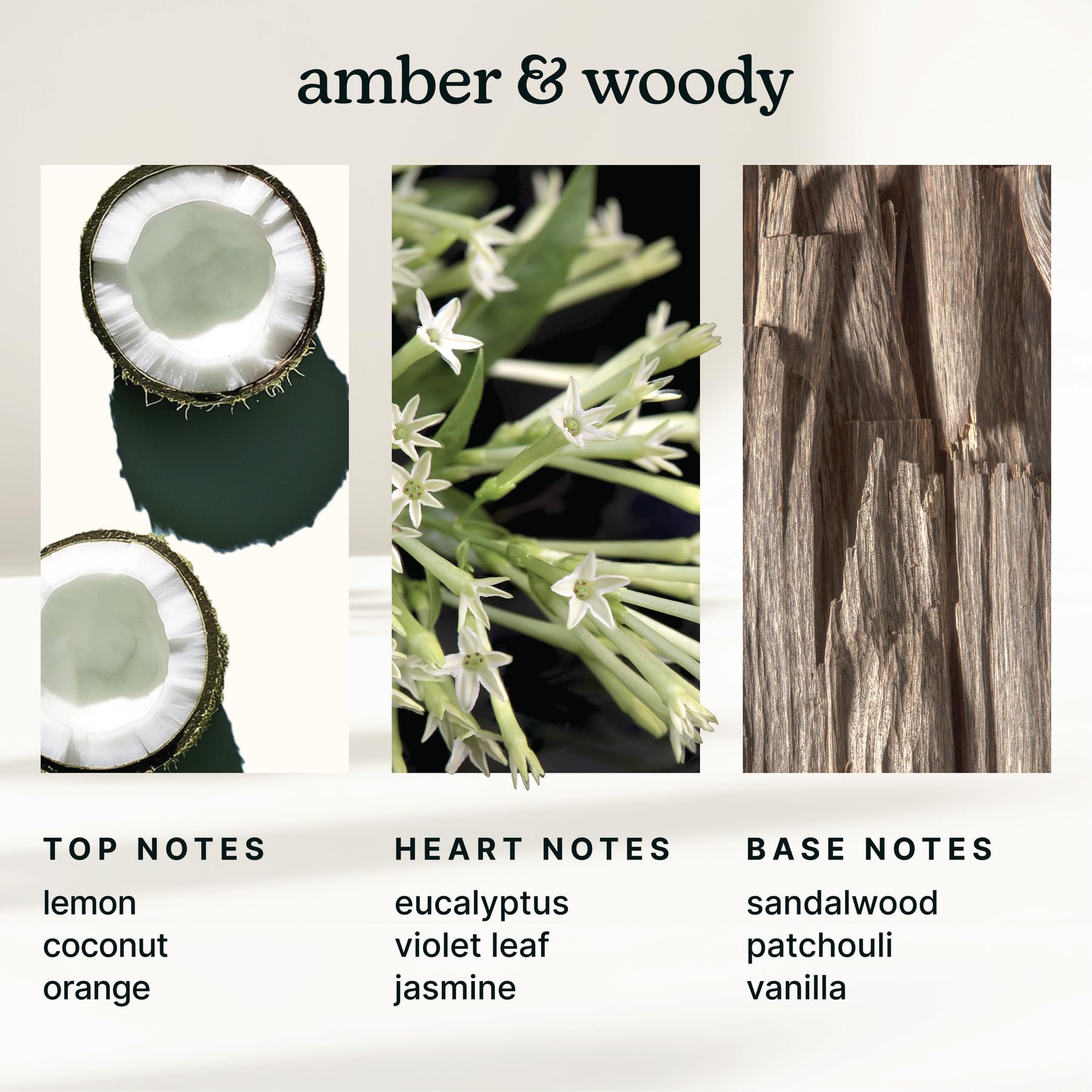 Homedics SereneScent Miami Sunset citrus aroma for a sunny, inviting space.