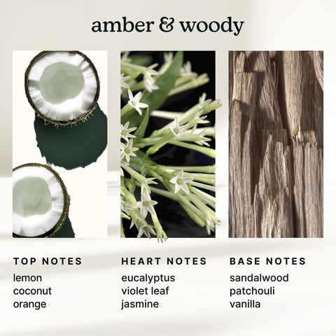 Homedics SereneScent Miami Sunset citrus aroma for a sunny, inviting space.