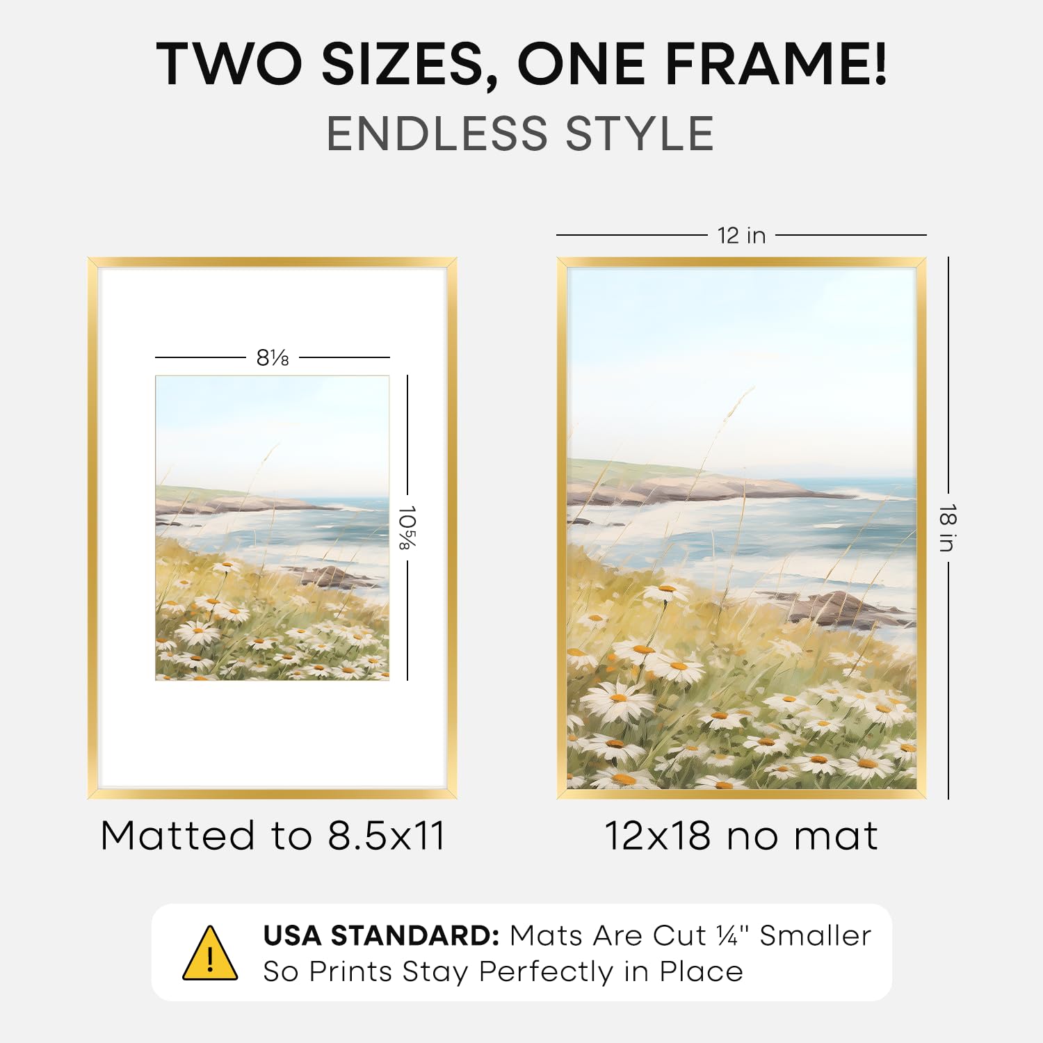 Homeforia tempered glass clarity highlights sharp photo detail