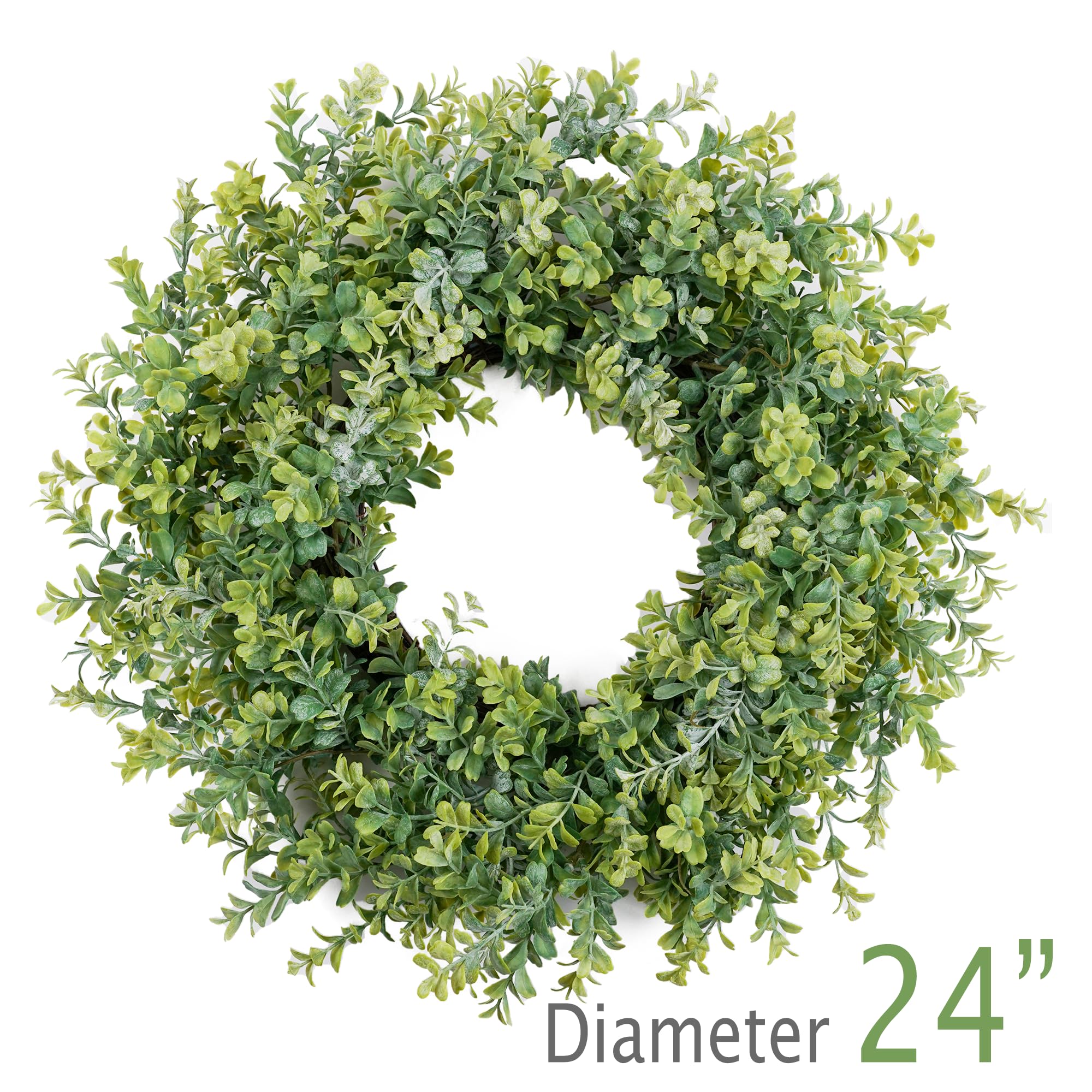 HomeKaren eucalyptus leaves close-up highlights lush greenery for versatile decor.