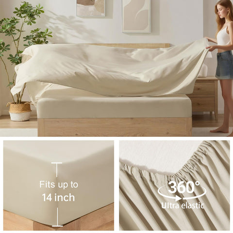Homelike Moment pillow shams 20x26; coordinated beige bedding for a polished look.