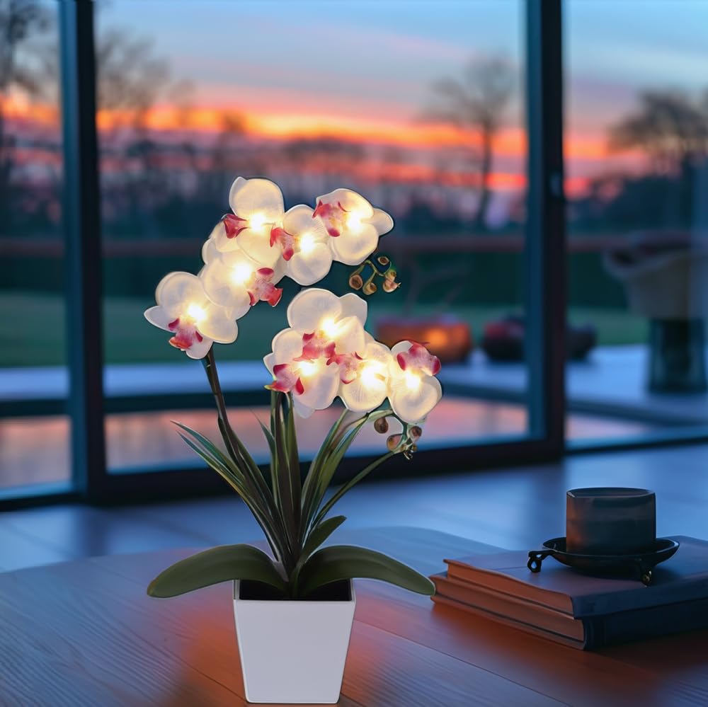 HOMESEASONS Orchid Lamp as dining centerpiece with warm ambiance