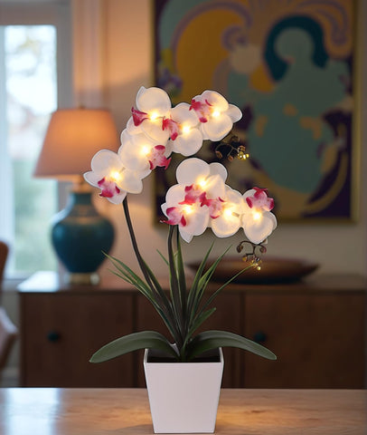 HOMESEASONS Orchid Lamp on nightstand offering gentle light