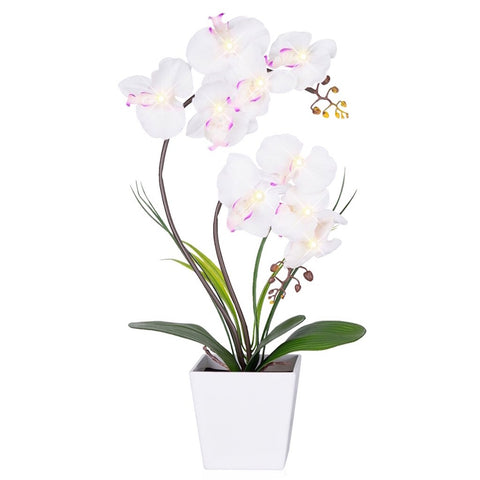 HOMESEASONS Orchid Lamp close-up of petal detail with warm LED glow