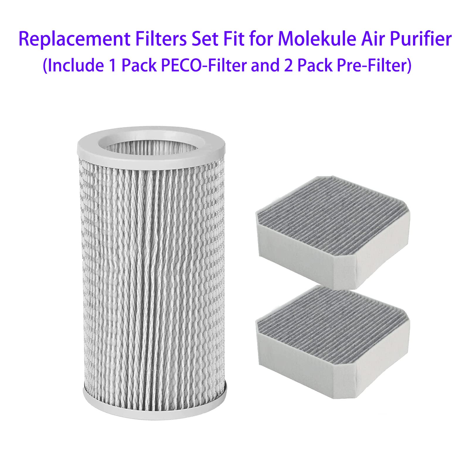 HOMFILBIT Molekule pre-filter close-up, protects the main filter and maintains airflow.