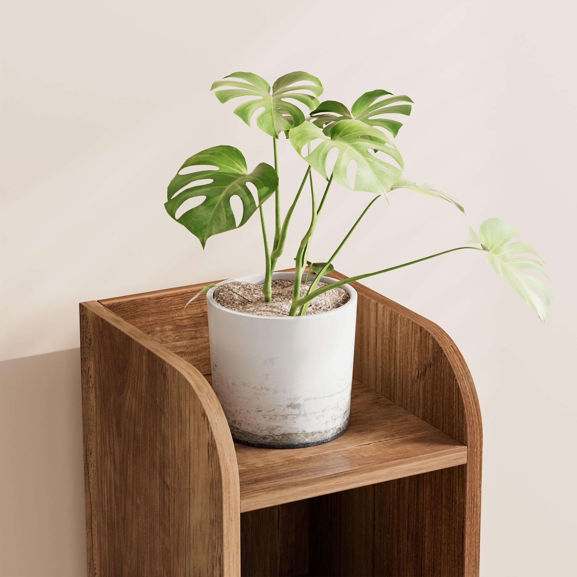 Homhedy cabinet has a dedicated toilet brush compartment for cleaning tools.