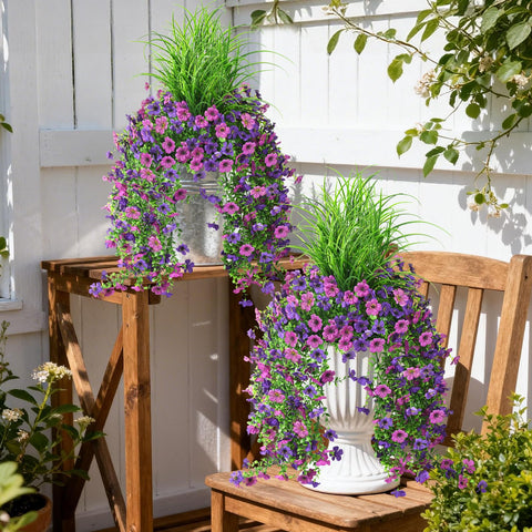Hommyea hanging flowers with dense leaves close up texture