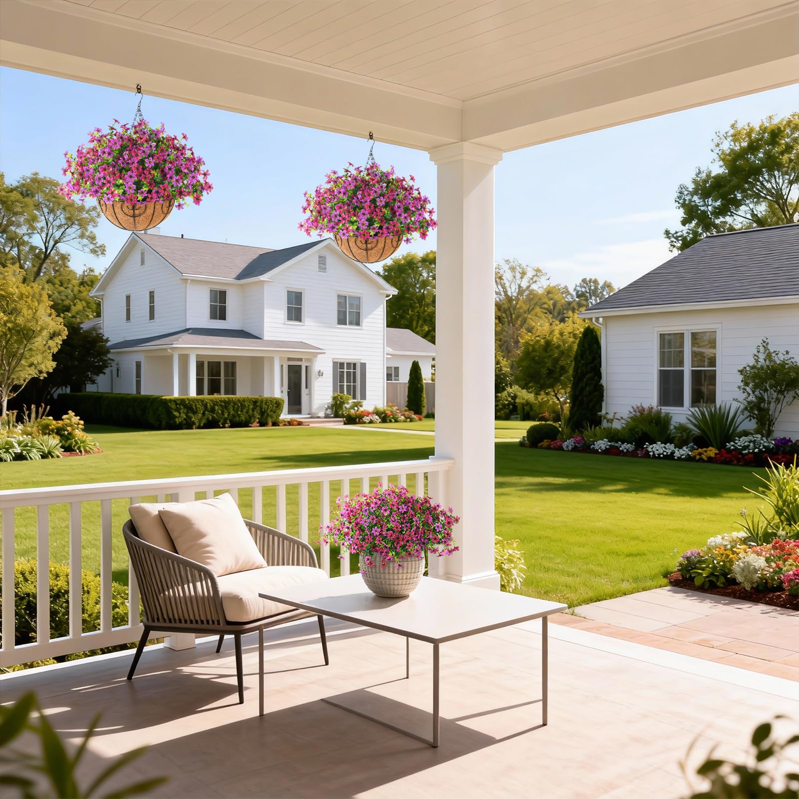 Hommyea multicolor flowers ideal for porches, patios, and gardens