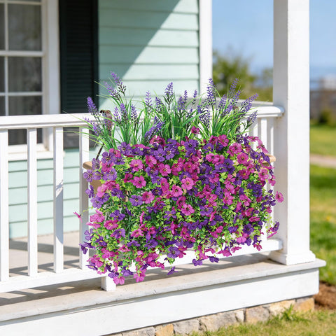Homsunny hanging blooms brighten window sills with effortless style and upkeep.
