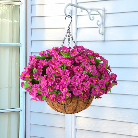 Homsunny balcony petunias: year-round color without real-plant upkeep