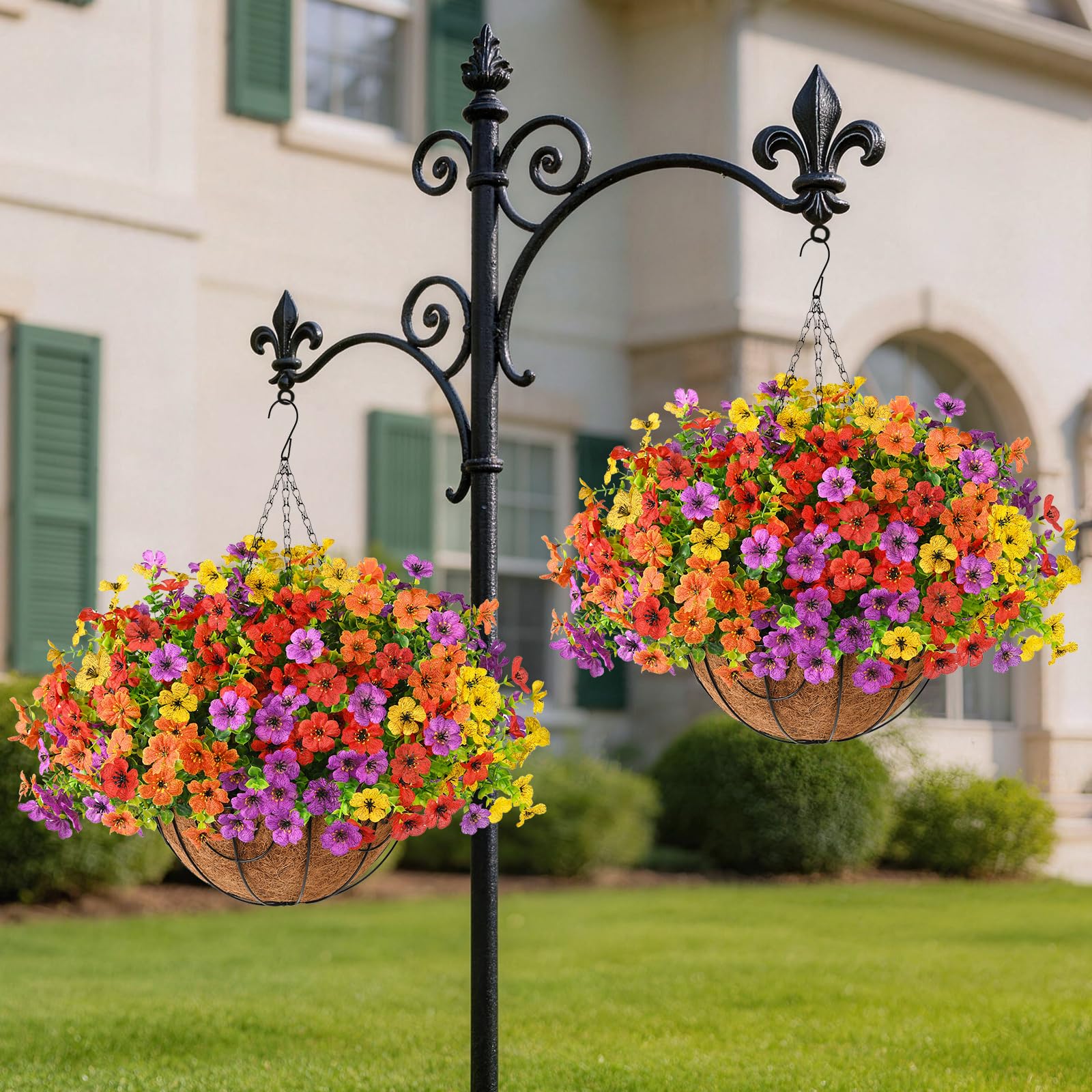 Homsunny daisy flowers in hanging basket styling a patio or balcony.