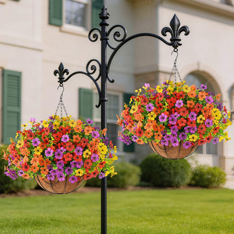 Homsunny daisy flowers in hanging basket styling a patio or balcony.