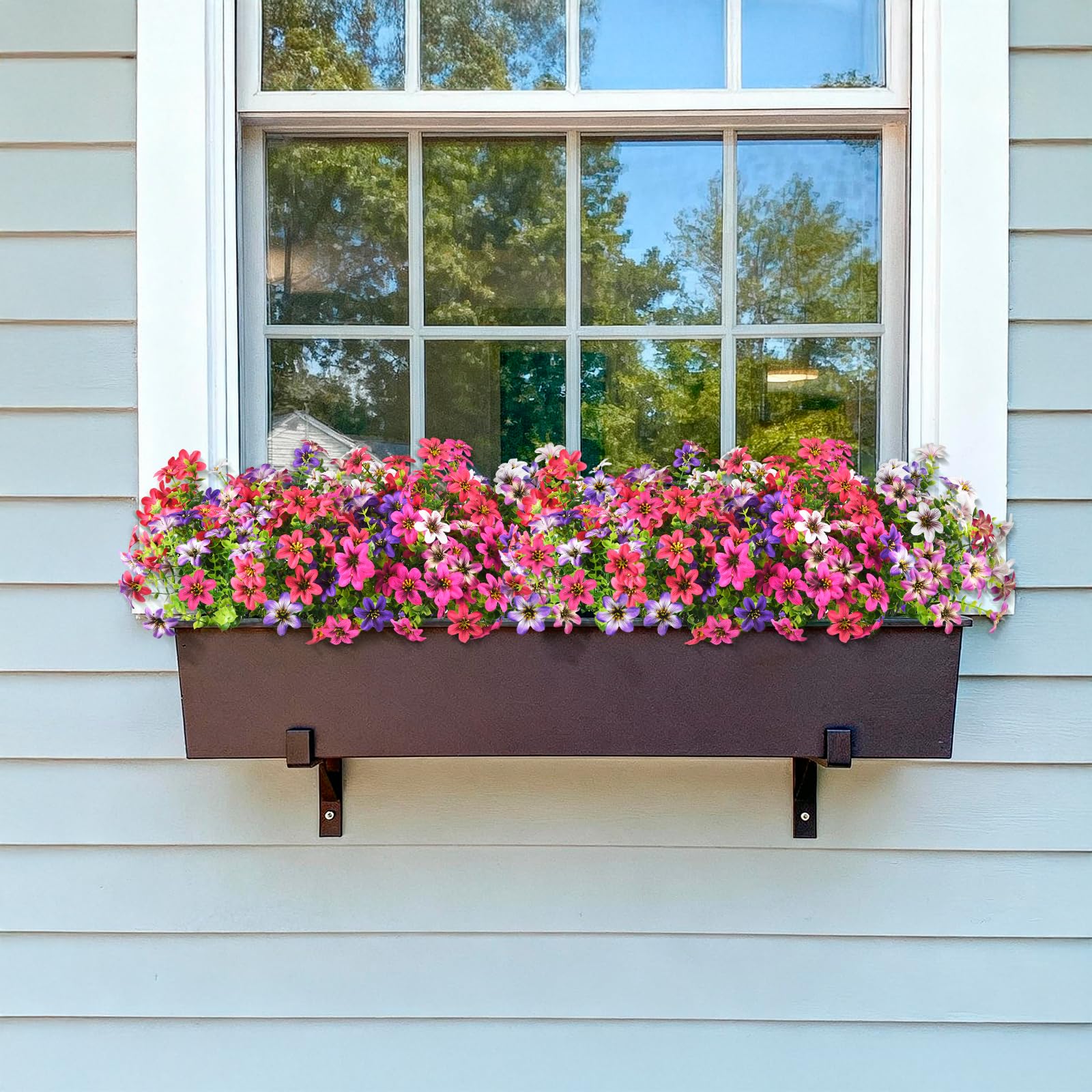 Homsunny outdoor daisies brighten yard or balcony
