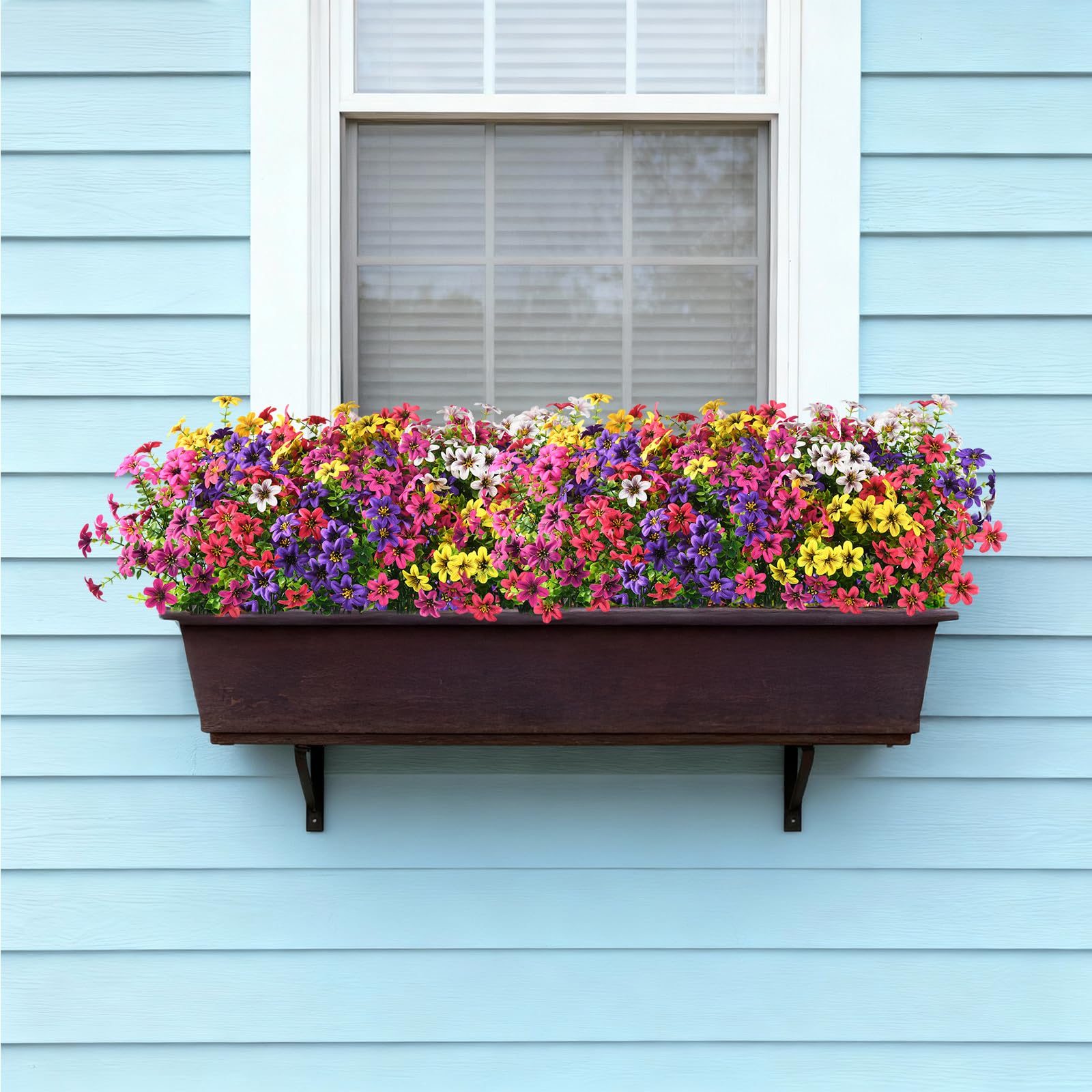 Homsunny daisies suitable for both outdoor and indoor displays.