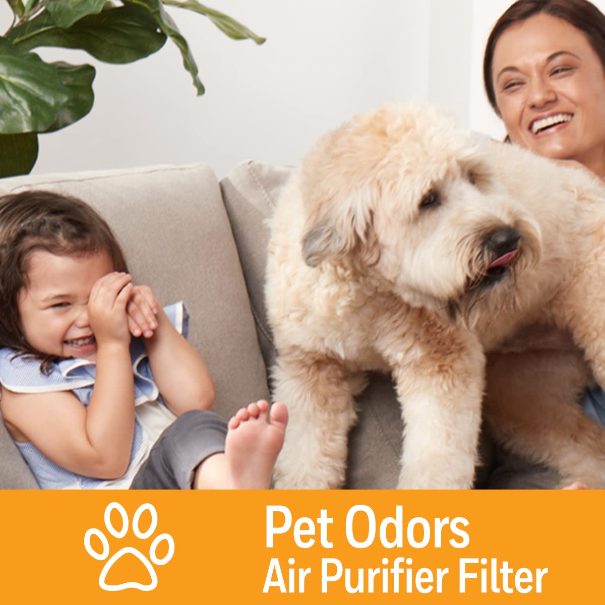Honeywell Pet Odor Filter S serves as a compatible insert for HPA purifiers