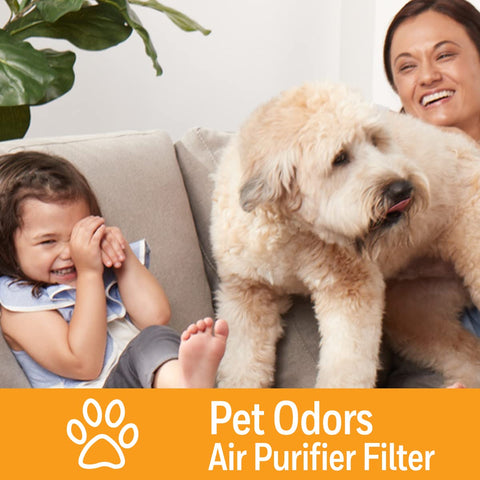 Honeywell Pet Odor Filter S serves as a compatible insert for HPA purifiers