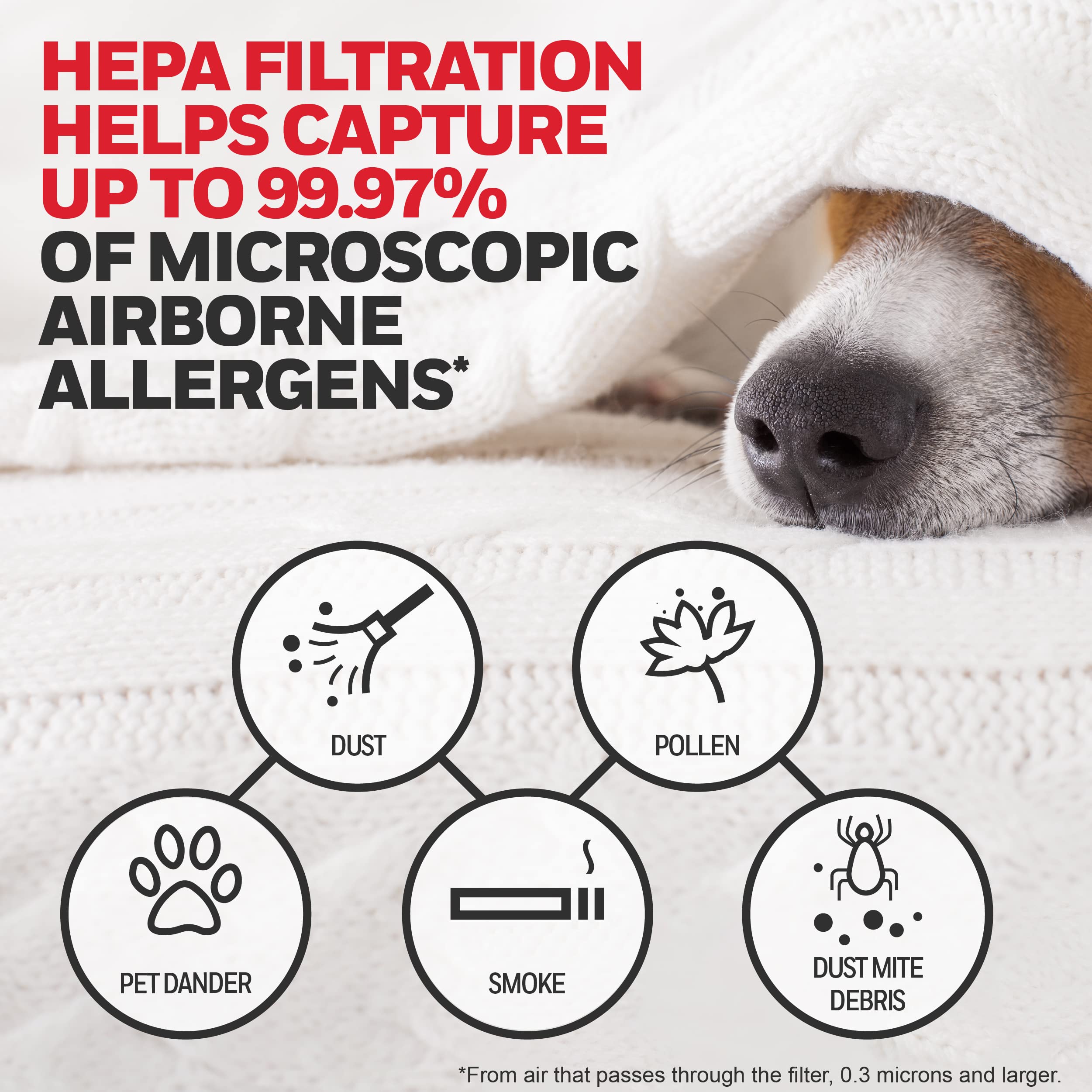Honeywell HEPA Filter G demonstrates compatibility with HPA030 series for easy setup