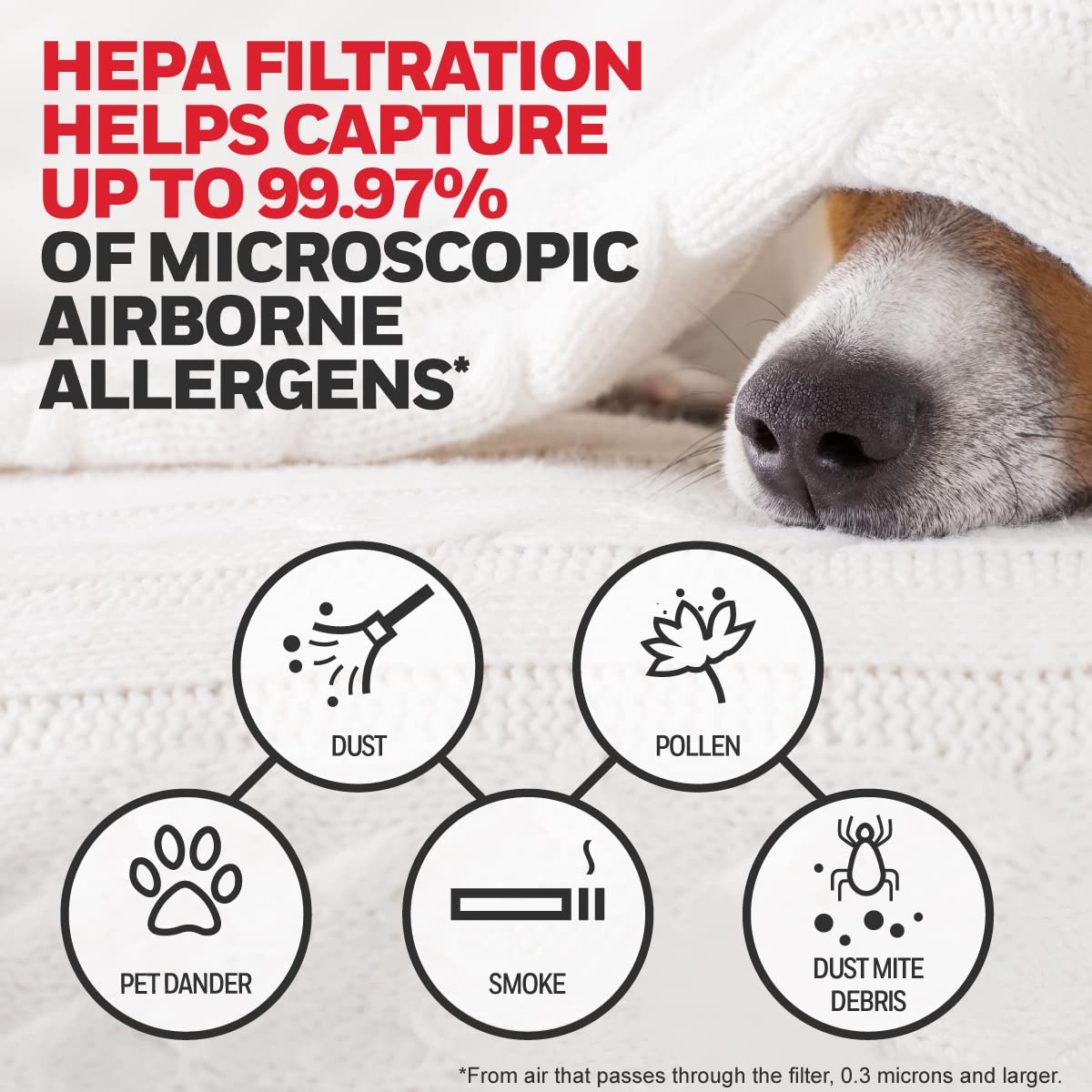 Compatibility with HPA100 shows reliable replacement filtration.