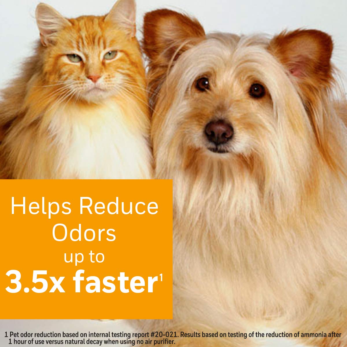 Honeywell Pet Odor Filter S carbon-zeolite closeup highlighting odor-adsorption media