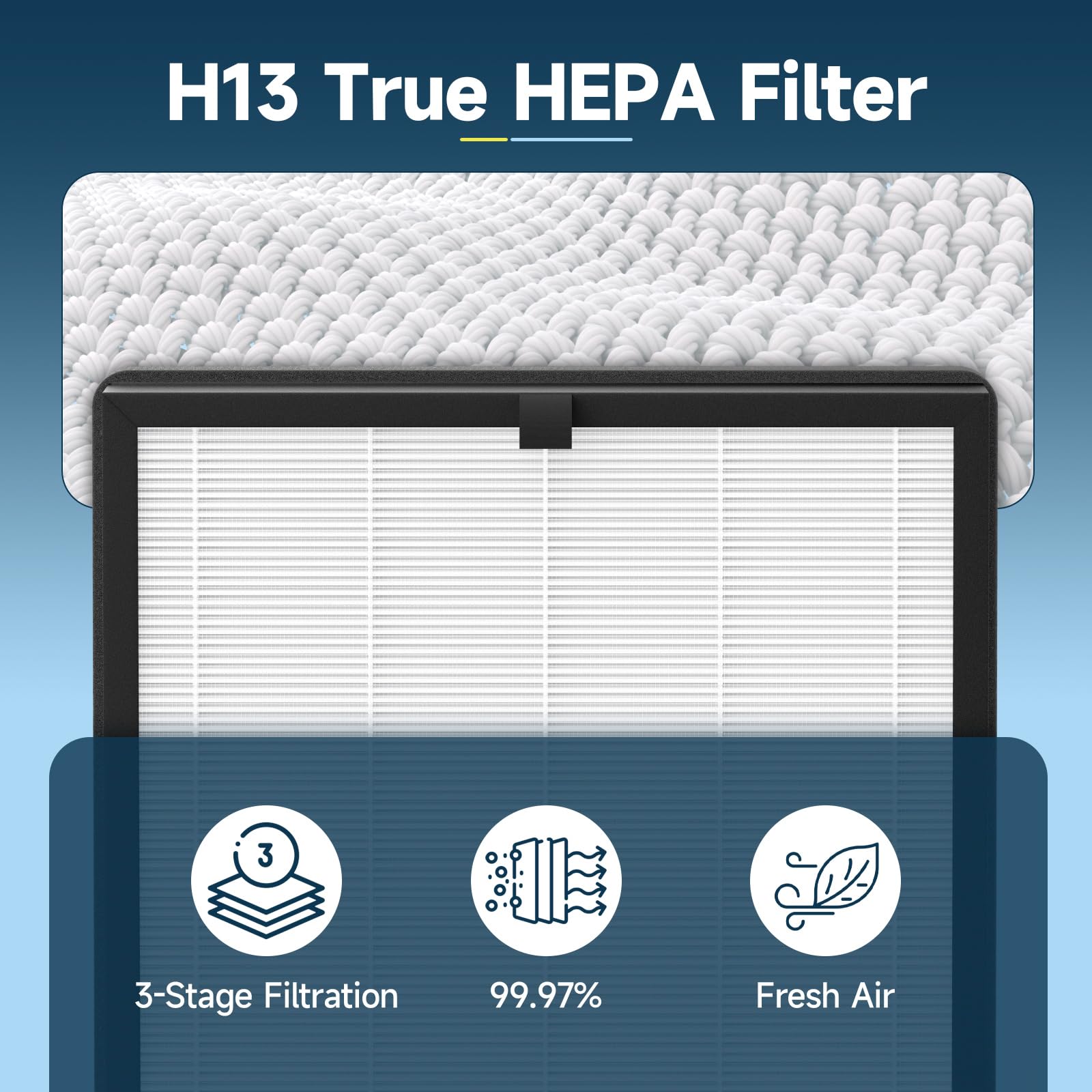 Horserdy F1 filter easily installs into AMEIFU F1 unit.