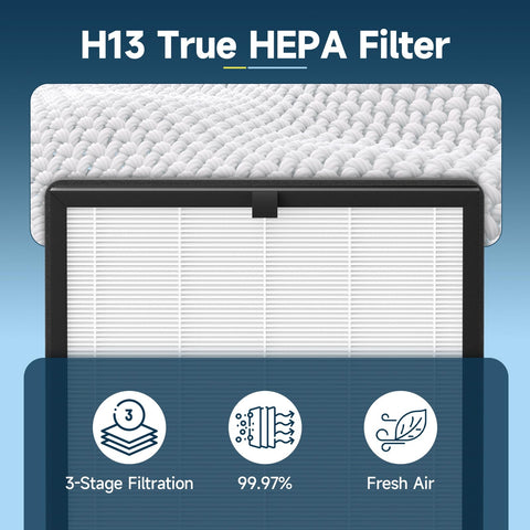 Horserdy F1 filter easily installs into AMEIFU F1 unit.