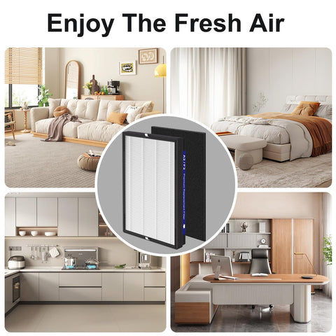 Horserdy recommended replacement cadence for long-term air quality maintenance