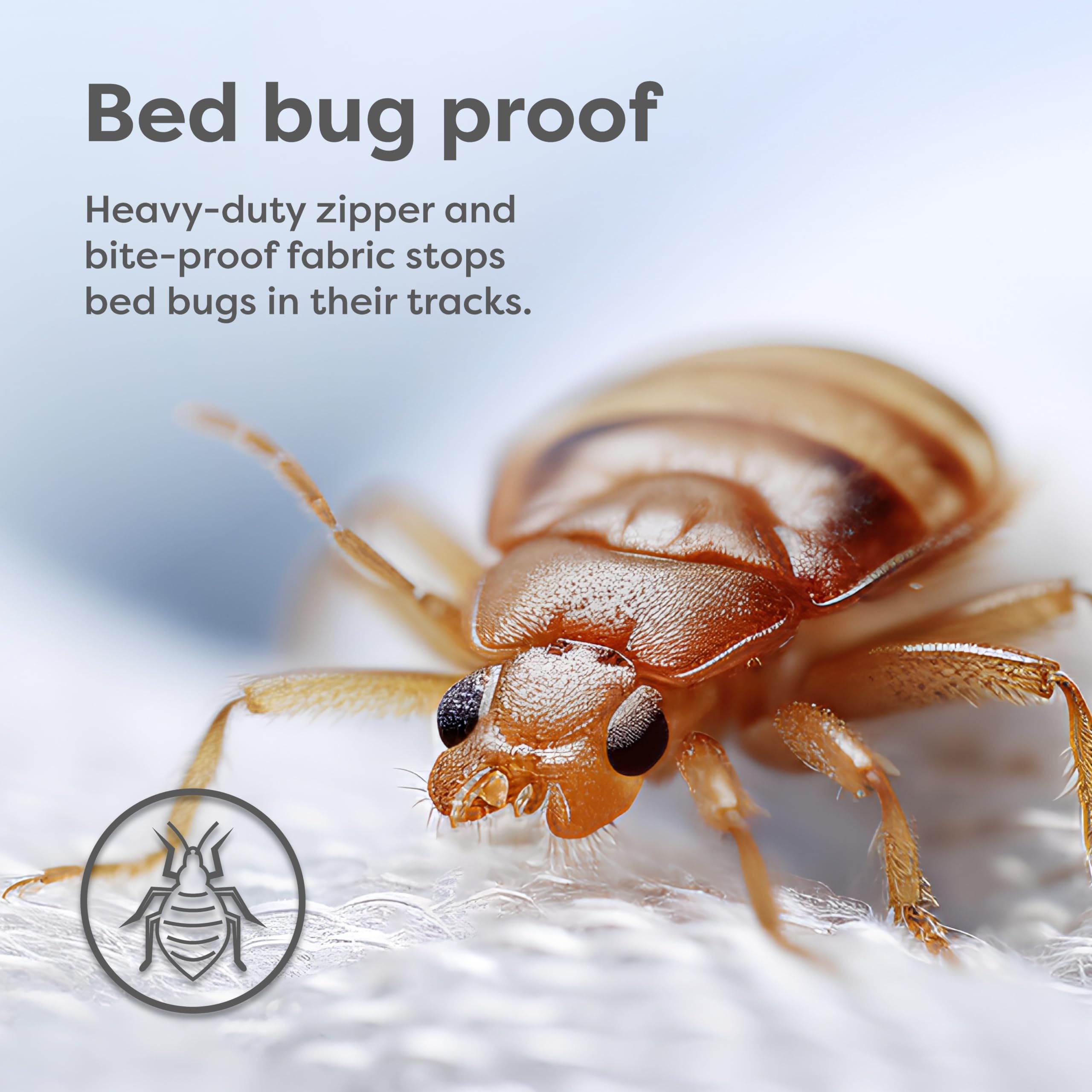 HOSPITOLOGY bed bug and dust mite protection label on encasement