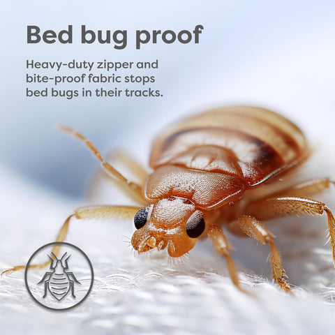 HOSPITOLOGY PRODUCTS twin XL fit provides snug, versatile coverage for standard long mattresses.