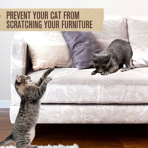 Houseables clear couch cover demonstrates durable, snug fit