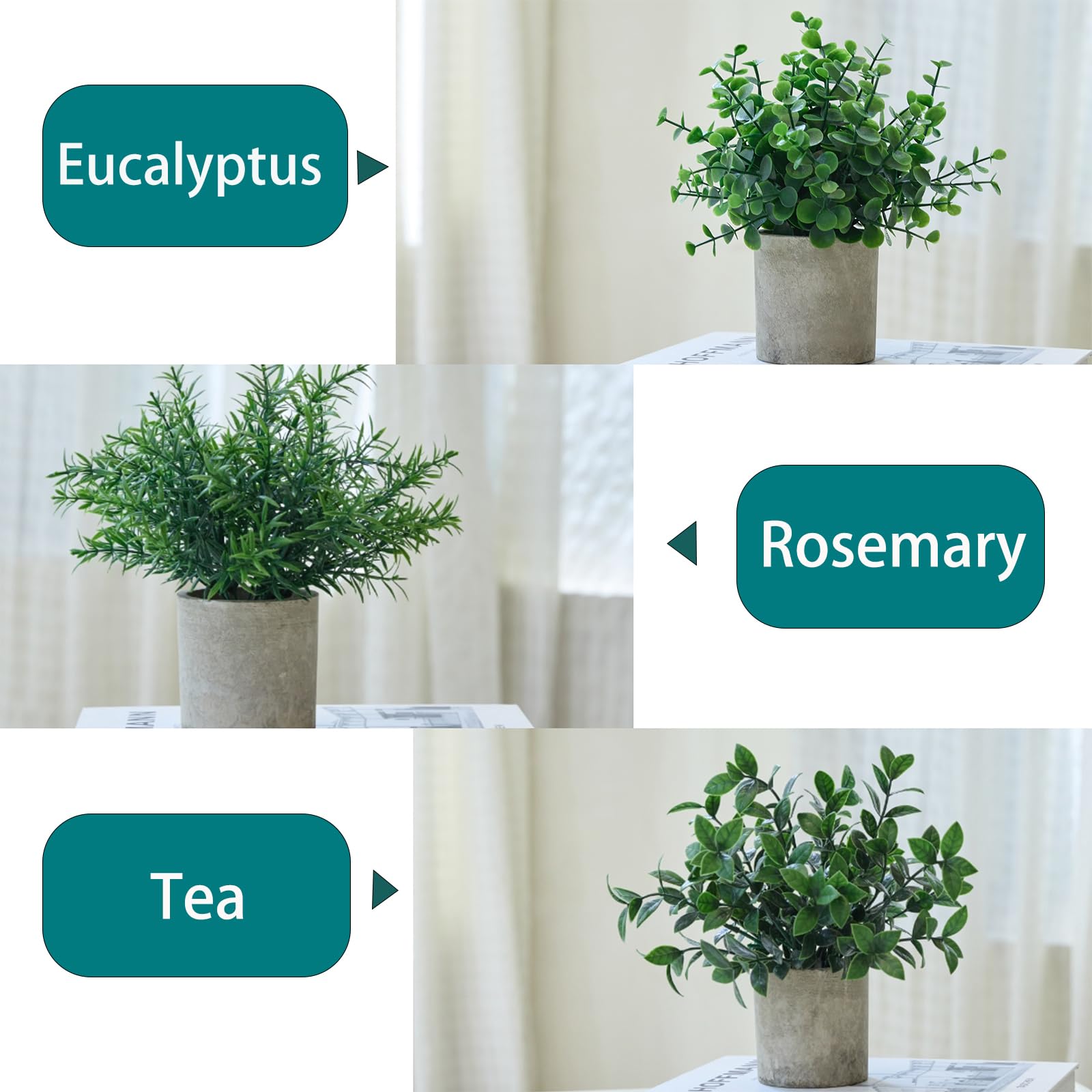 HOZON 7.9 inch eucalyptus topiary close-up of leaves for home office
