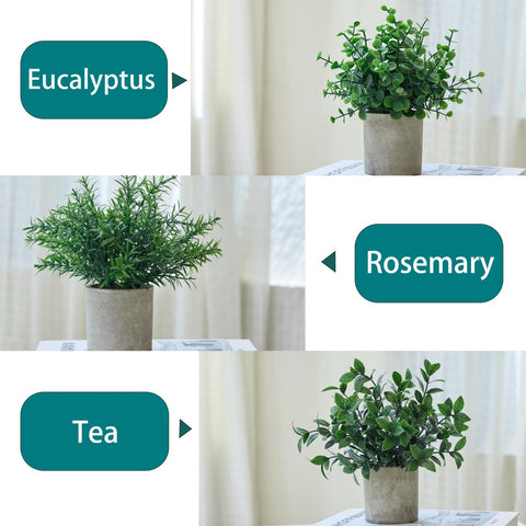HOZON 7.9 inch eucalyptus topiary close-up of leaves for home office