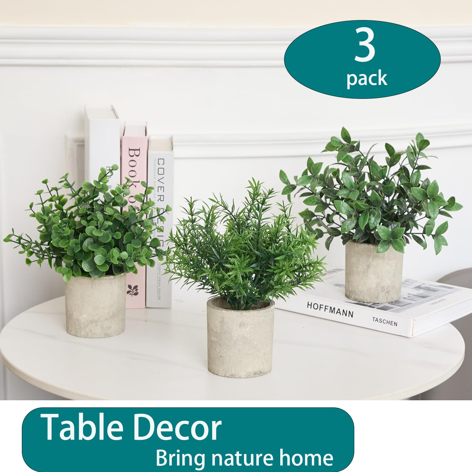 HOZON office shelf decoration with eucalyptus topiaries