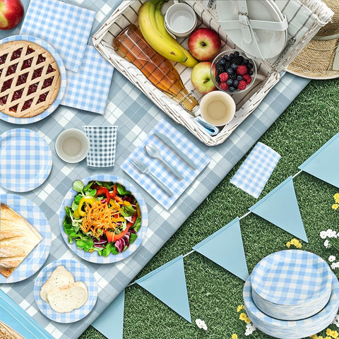 Hpscdyo blue gingham full set tableware, ready for hassle-free hosting.