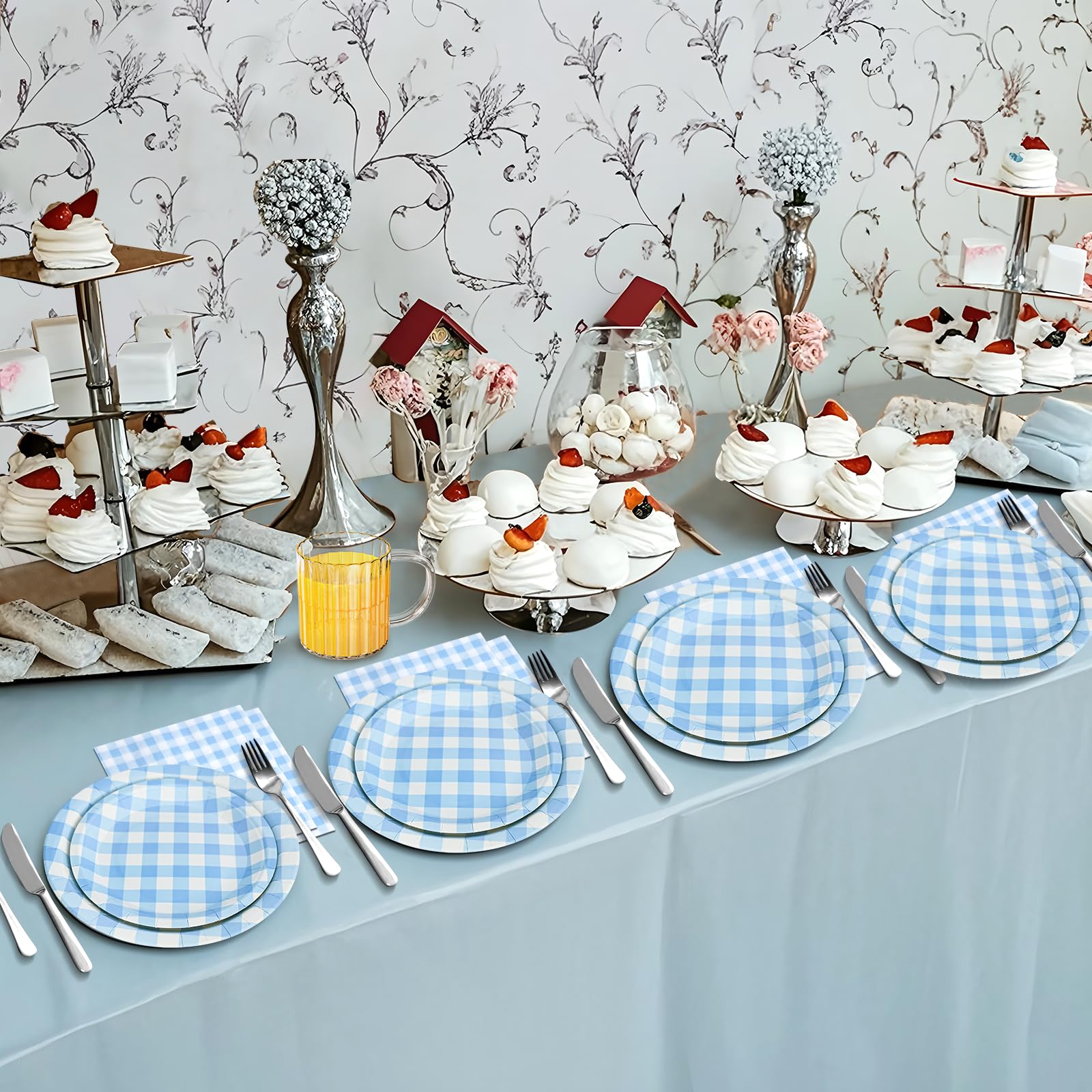Hpscdyo blue gingham outdoor party set for picnics and gatherings.