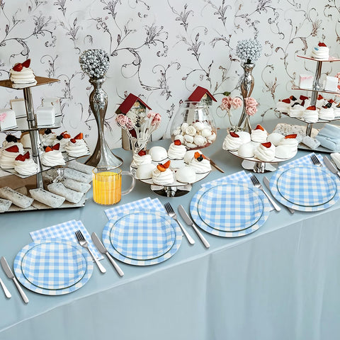 Hpscdyo blue gingham outdoor party set for picnics and gatherings.