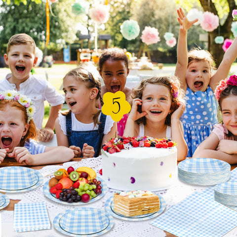 Hpscdyo blue gingham themes, colorful accents that elevate party decor.
