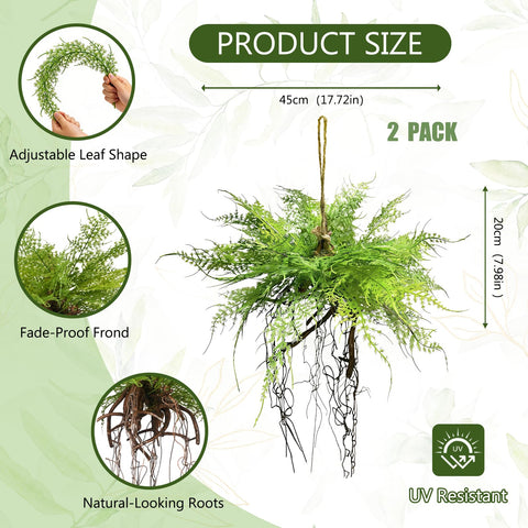 Hrobek artificial fern plants with roots add natural texture to walls and doorways.