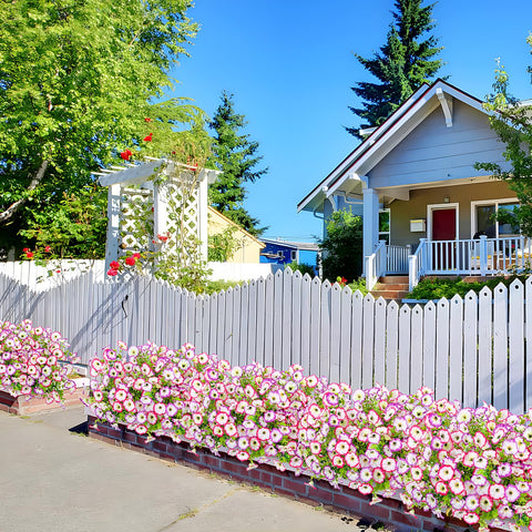 Hrobek pink-white morning glory with eucalyptus decor for balcony