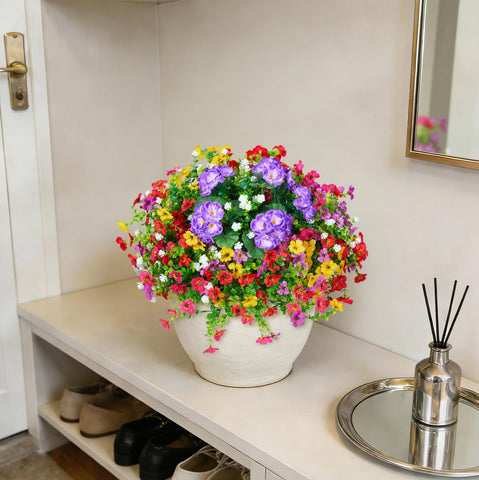 Hrobek zero-care flowers stay vibrant without watering